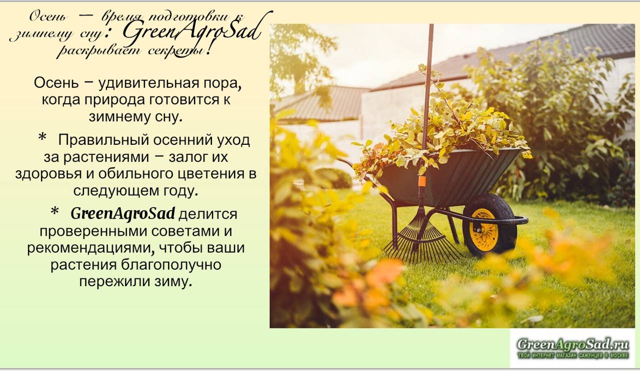 Осень