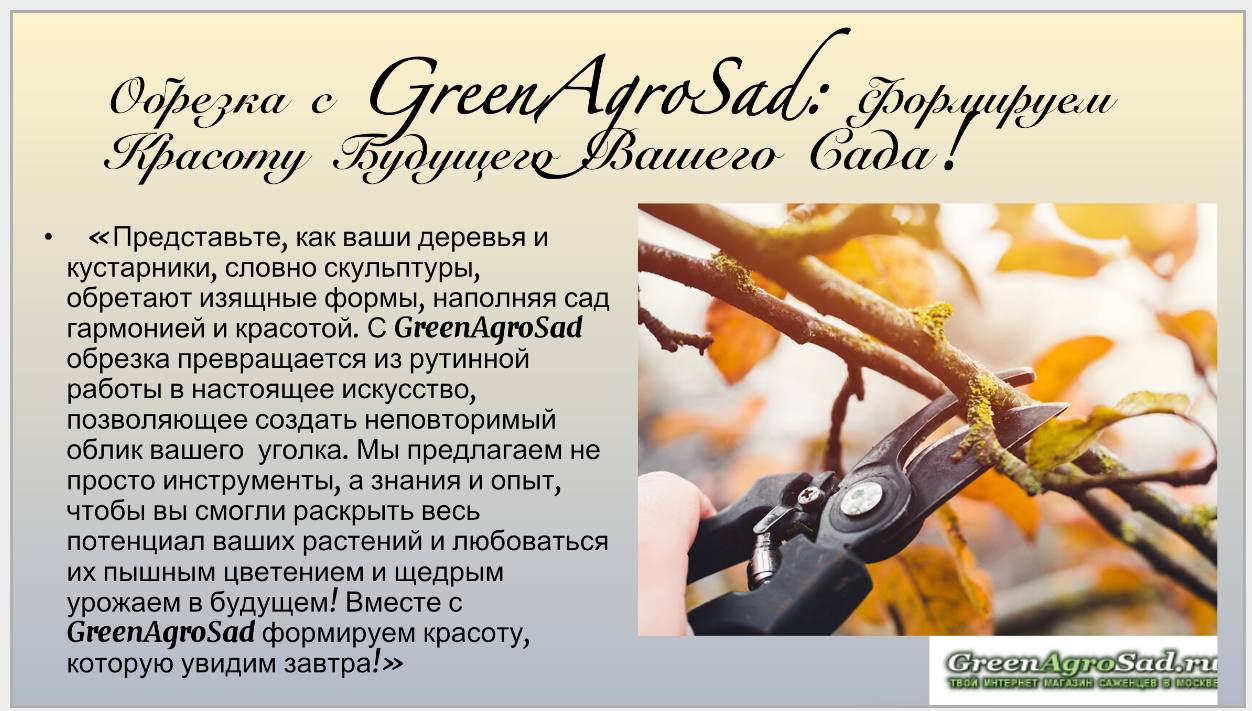 Обрезка